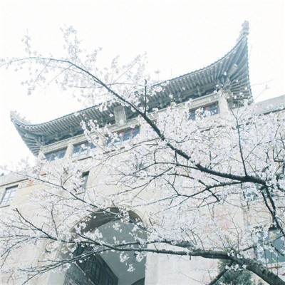 mc地图皮肤盒子手机版下载