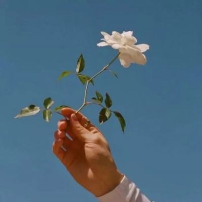 炼魂修仙官方版下载